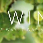 Nottely River Valley Vineyards - Murphy, NC